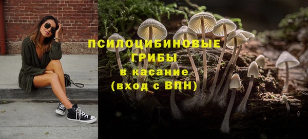 таблы Алексеевка