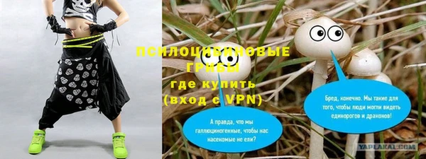 молекула духа Алзамай